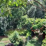 La Libellule, Piscine, Climatisation, Wifi, Vue ,jardin ,parking Lejlighed Le Vigan (Gard)