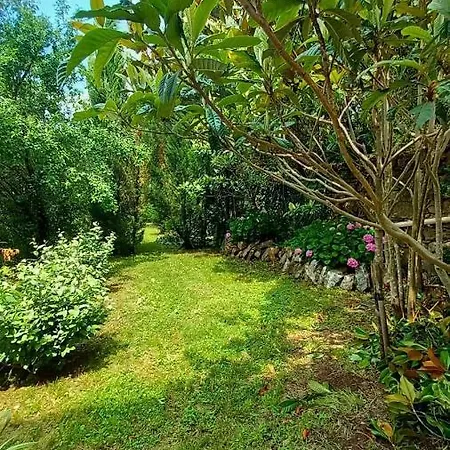 Apartment La Libellule, Piscine, Climatisation, Wifi, Vue ,jardin ,parking Le Vigan (Gard)