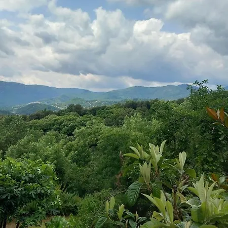 Lägenhet La Libellule, Piscine, Climatisation, Wifi, Vue ,jardin ,parking Le Vigan (Gard)