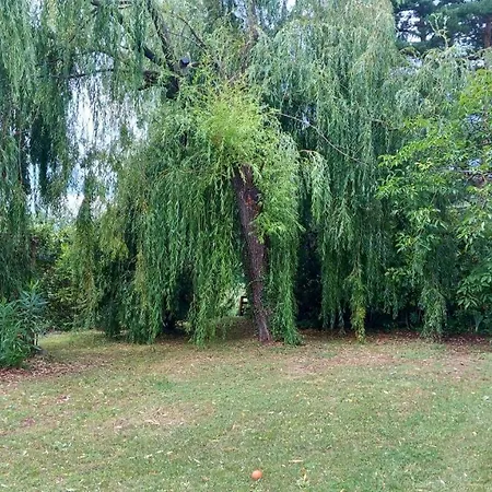 La Libellule, Piscine, Climatisation, Wifi, Vue ,jardin ,parking Apartmán