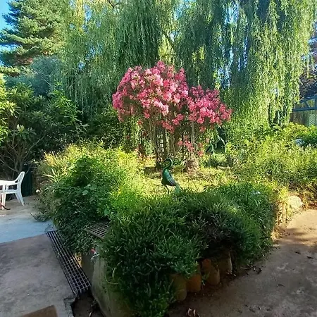 Apartmán La Libellule, Piscine, Climatisation, Wifi, Vue ,jardin ,parking Le Vigan (Gard)