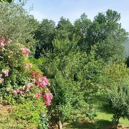 La Libellule, Piscine, Climatisation, Wifi, Vue ,jardin ,parking Le Vigan (Gard)