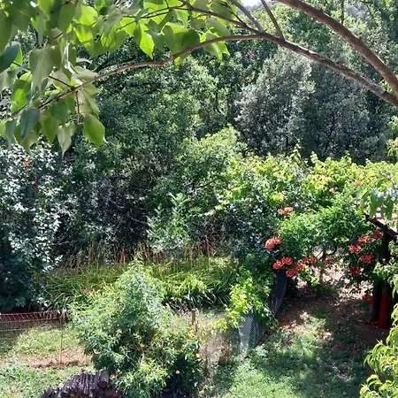 La Libellule, Piscine, Climatisation, Wifi, Vue ,jardin ,parking Apartment Le Vigan (Gard)