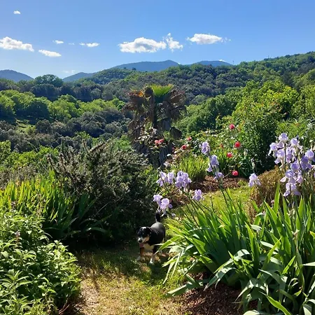 La Libellule, Piscine, Climatisation, Wifi, Vue ,jardin ,parking Le Vigan (Gard)