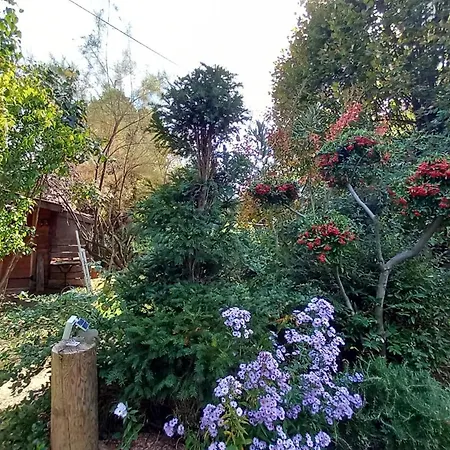 La Libellule, Piscine, Climatisation, Wifi, Vue ,jardin ,parking * Le Vigan (Gard)