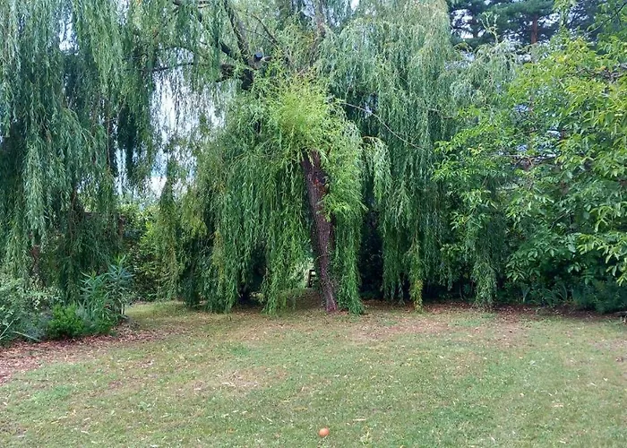 La Libellule, Piscine, Climatisation, Wifi, Vue ,jardin ,parking شقة