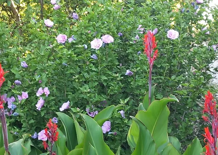 شقة La Libellule, Piscine, Climatisation, Wifi, Vue ,jardin ,parking *