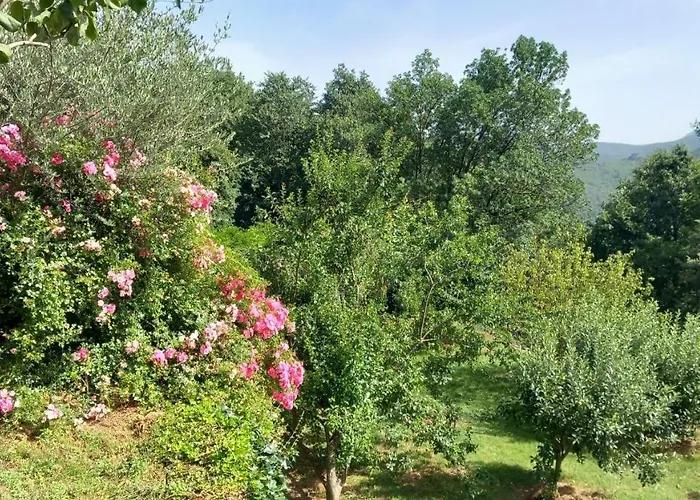 La Libellule, Piscine, Climatisation, Wifi, Vue ,jardin ,parking لو فيغان