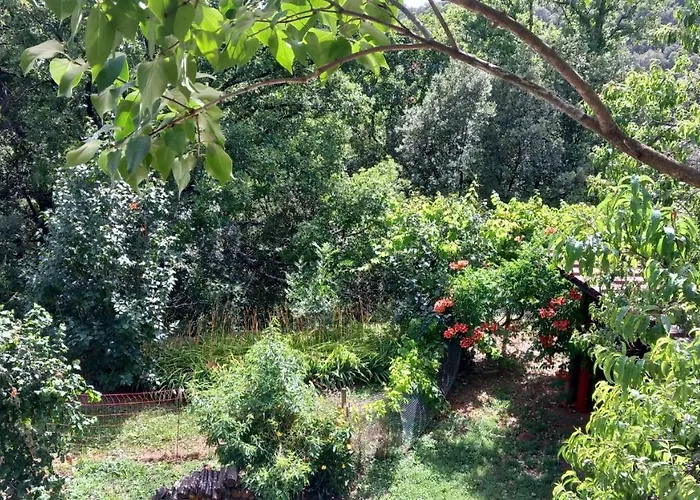 La Libellule, Piscine, Climatisation, Wifi, Vue ,jardin ,parking شقة لو فيغان